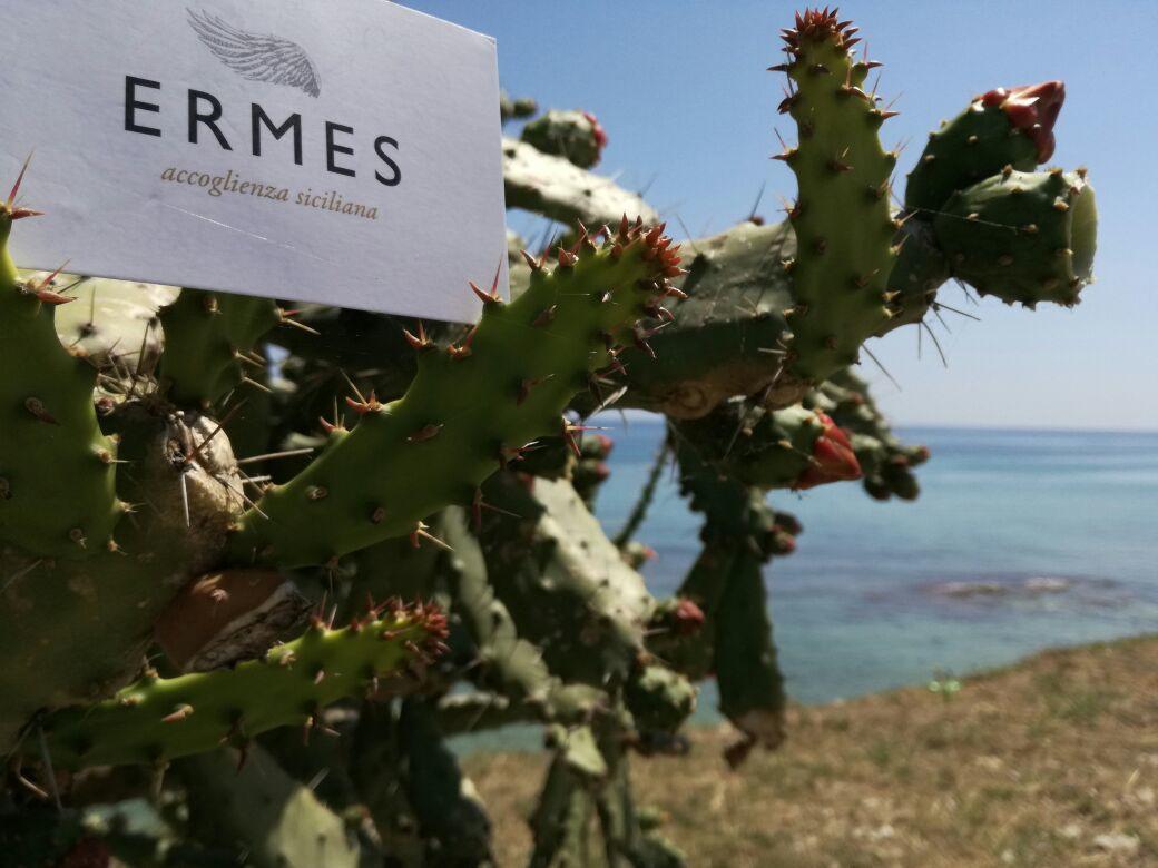 مبيت وإفطار أفولا Ermes المظهر الخارجي الصورة